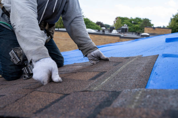 Best Flat Roof Repair Services  in Channahon, IL