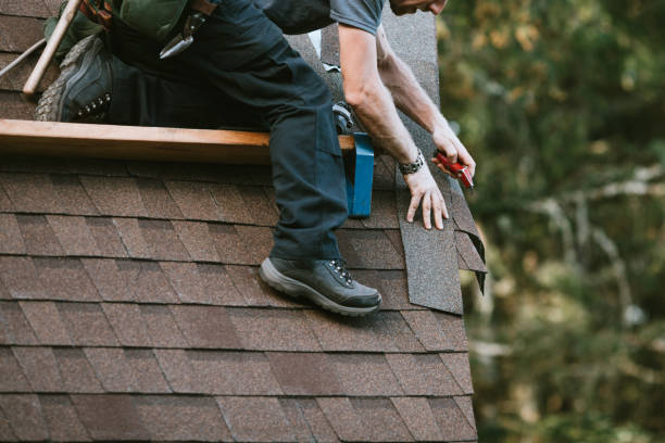 Best Roof Inspection Near Me  in Channahon, IL